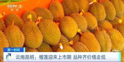 榴莲加工爆料怎么做视频,视频带你探秘美味背后的制作过程  第2张